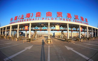 上海自貿(mào)區(qū) 四年新設(shè)企業(yè)5.2萬(wàn)家 這里是種苗圃不是栽盆景